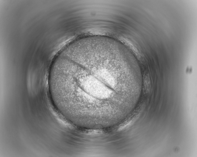 X0000093770398200711131216