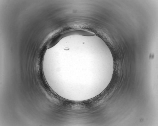 X0000093770400200711131216