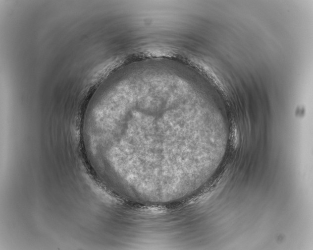 X0000093770402200711131216