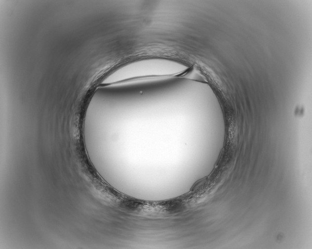 X0000093770403200711131216