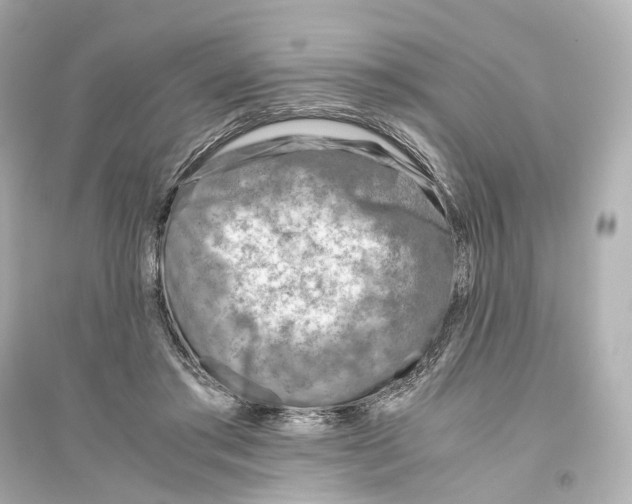 X0000093770405200711131216