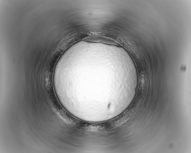 X0000093770408200711131216