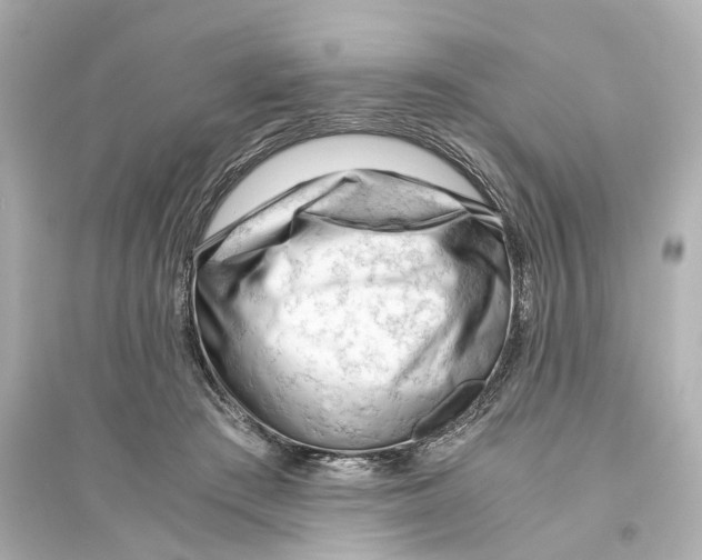 X0000093770409200711131216