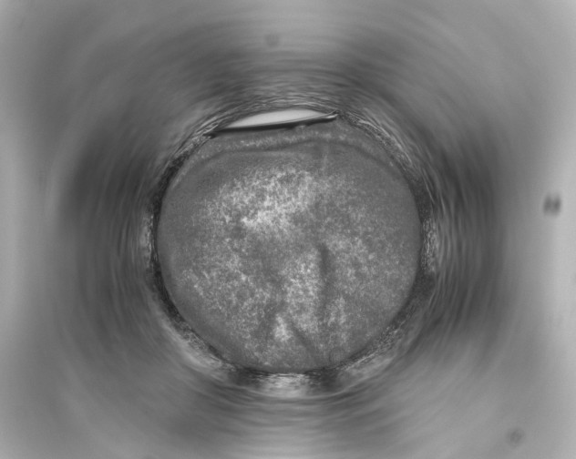 X0000093770410200711131216