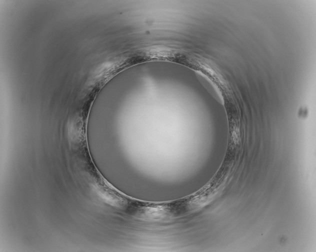 X0000093770411200711131216