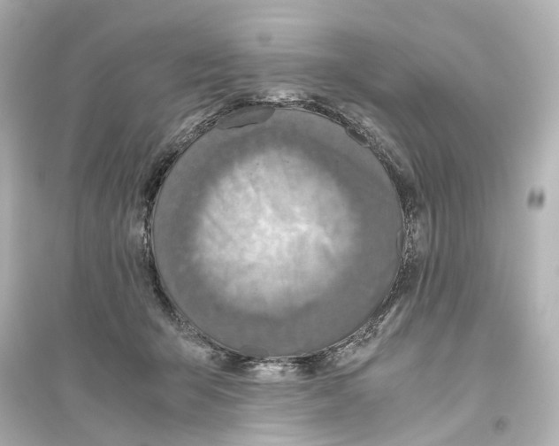 X0000093770415200711131216