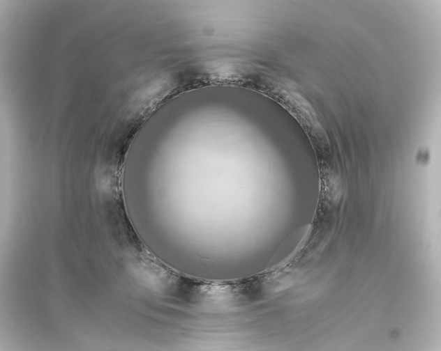 X0000093770419200711131216