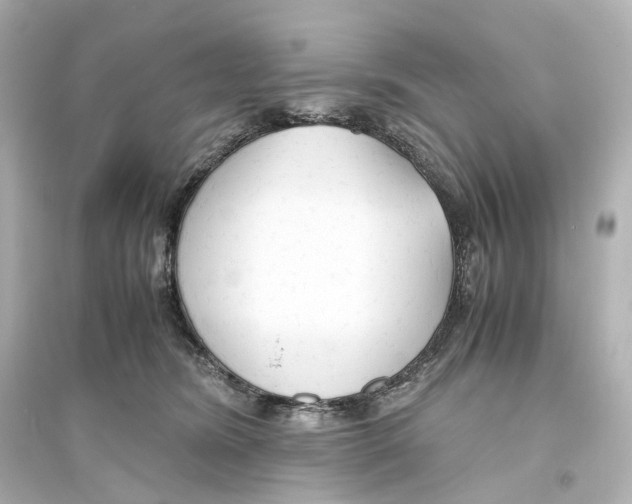 X0000093770420200711131216