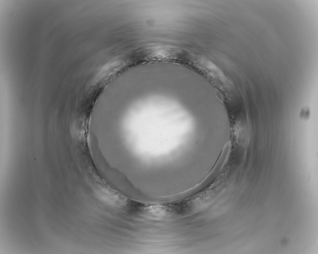 X0000093770423200711131216