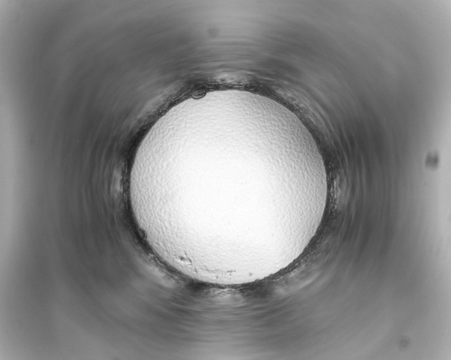 X0000093770424200711131216