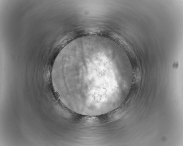 X0000093770427200711131216