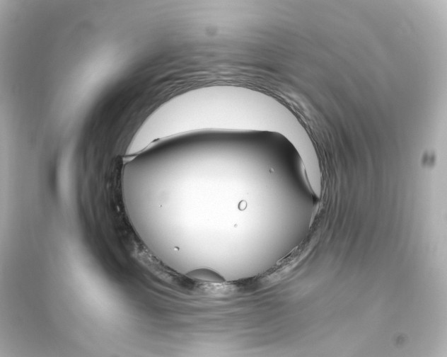 X0000093770429200711131216