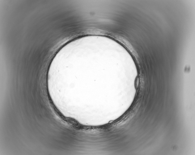 X0000093770433200711131215