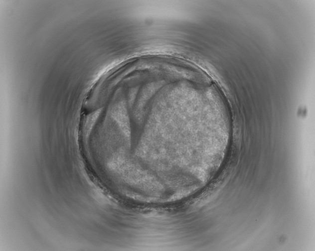 X0000093770434200711131215