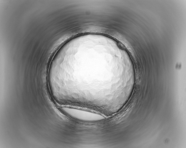 X0000093770437200711131215