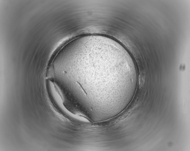 X0000093770438200711131215