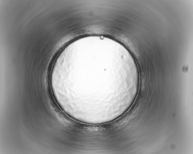 X0000093770439200711131215