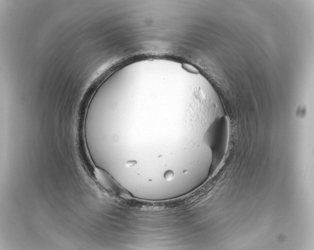 X0000093770440200711131215