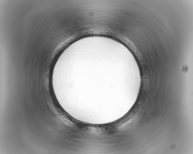 X0000093770442200711131215