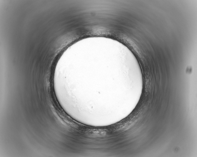 X0000093770443200711131215