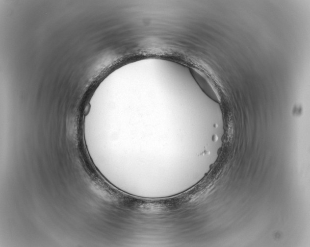 X0000093770444200711131215