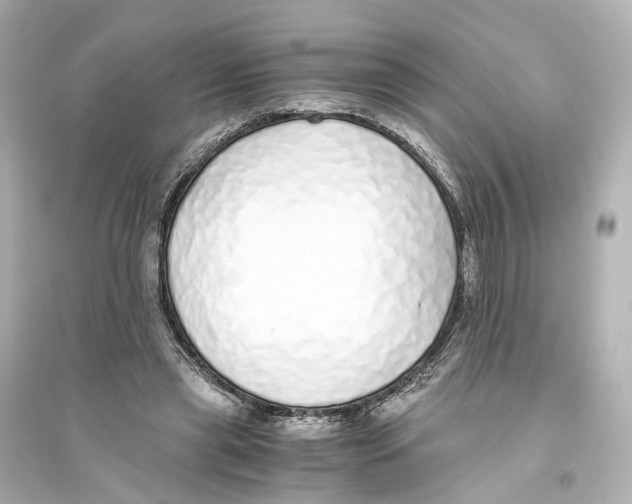 X0000093770445200711131215