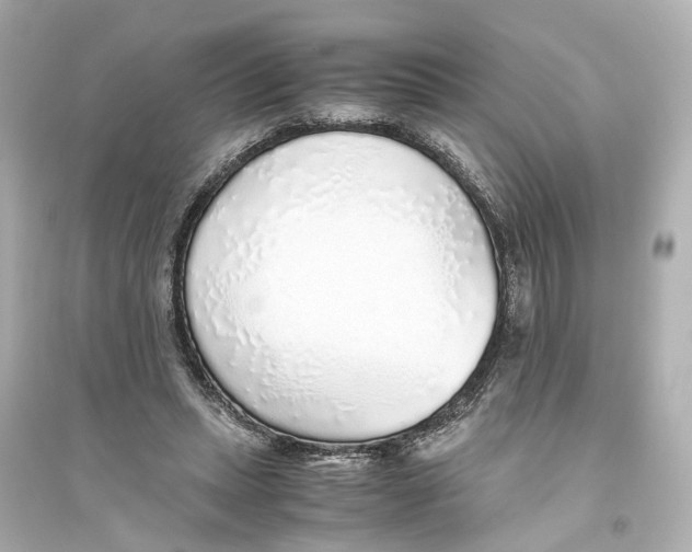 X0000093770447200711131215