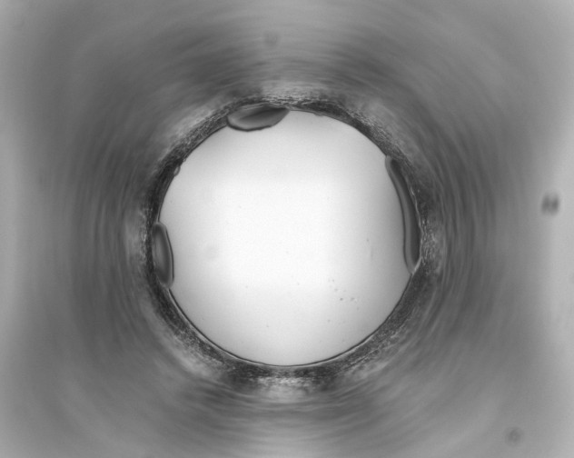 X0000093770448200711131215