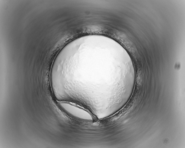 X0000093770449200711131215