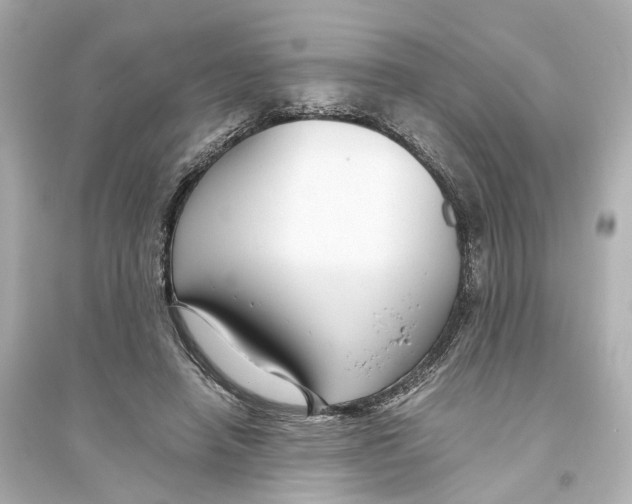 X0000093770450200711131215