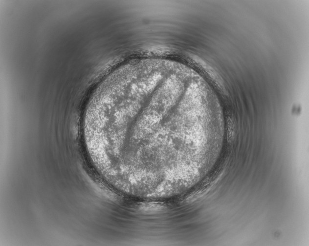 X0000093770451200711131215