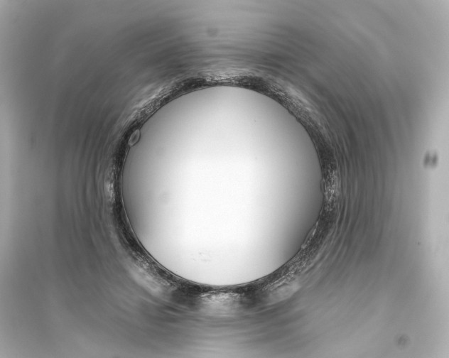 X0000093770452200711131215