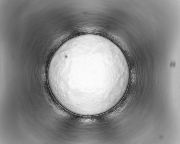 X0000093770453200711131215