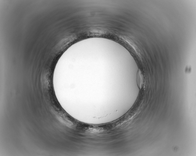 X0000093770455200711131215