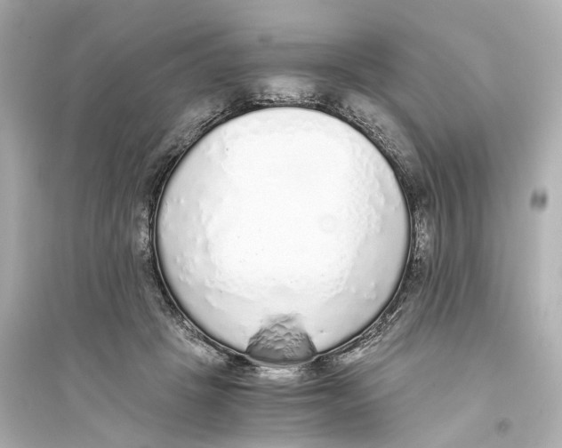 X0000093770457200711131215