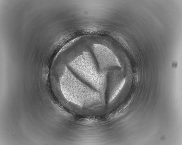 X0000093770458200711131215