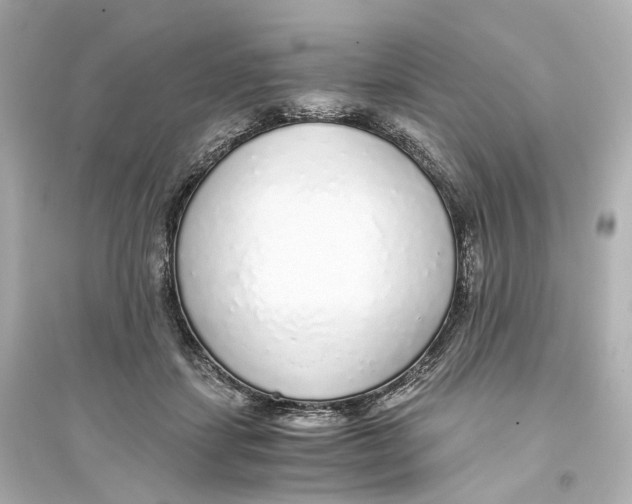 X0000093770459200711131215