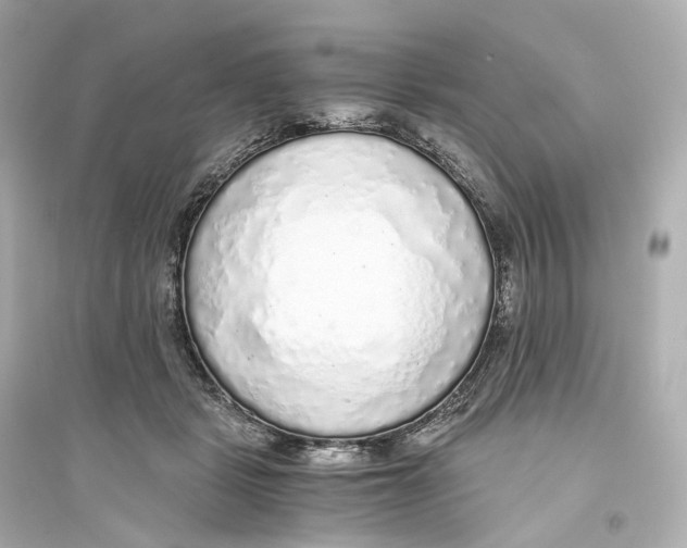 X0000093770461200711131215