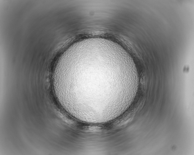 X0000093770462200711131215