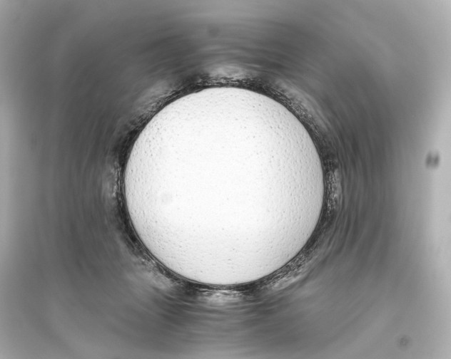 X0000093770463200711131215