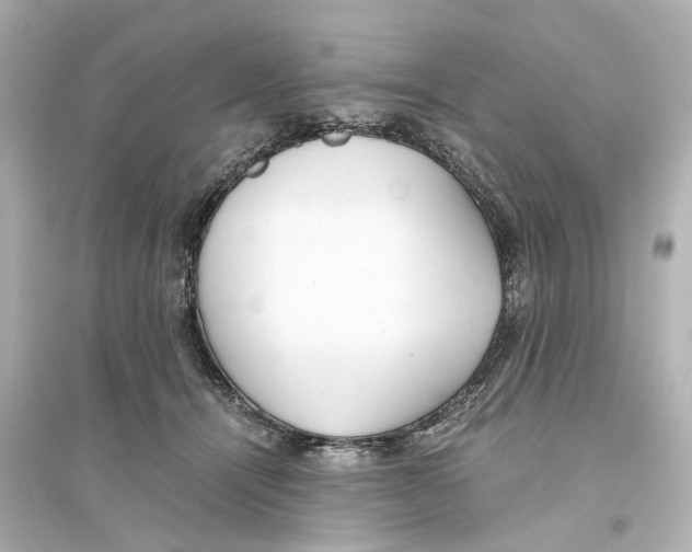 X0000093770464200711131215