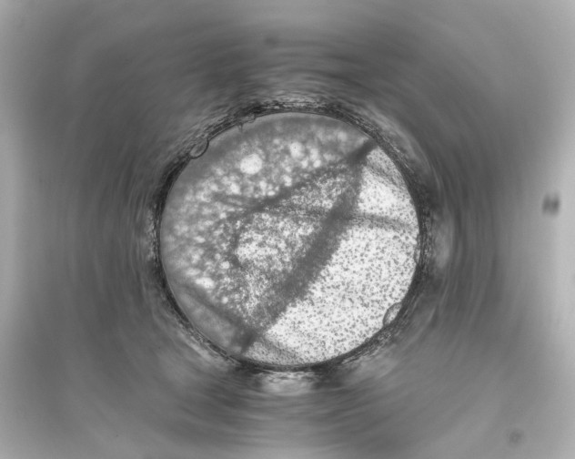 X0000093770465200711131215