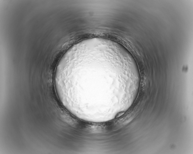 X0000093770466200711131215