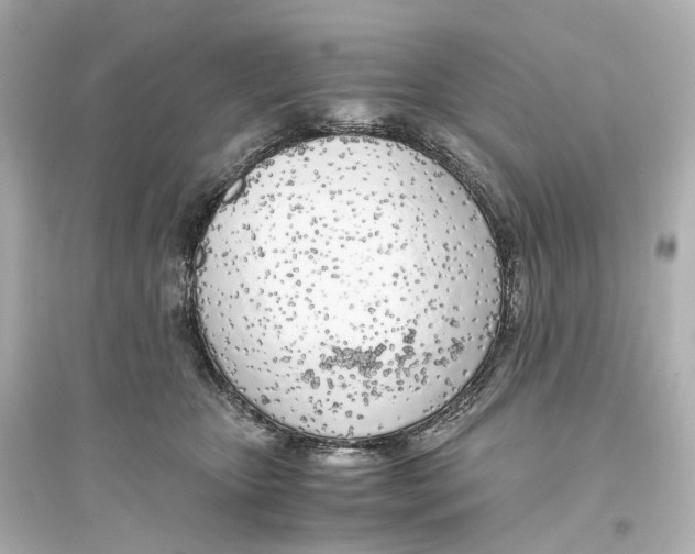 X0000093770467200711131215