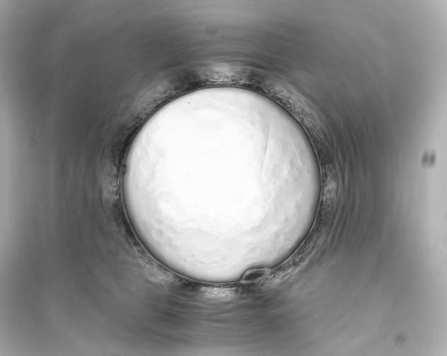 X0000093770469200711131215