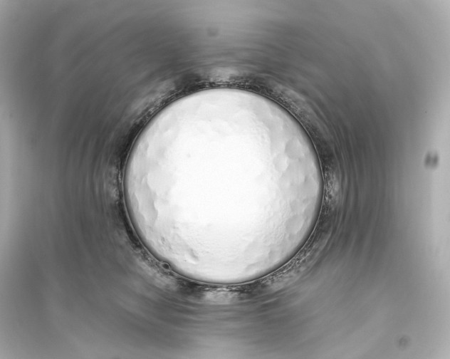 X0000093770470200711131216