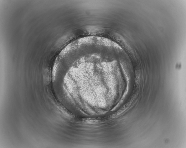 X0000093770471200711131216