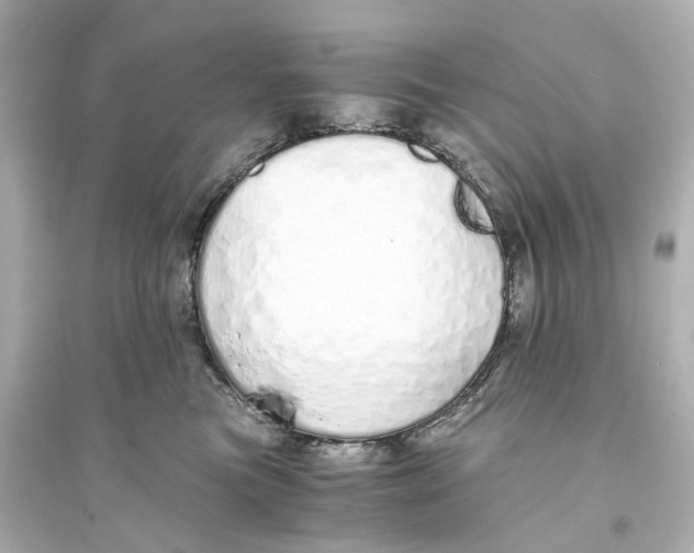 X0000093770473200711131216