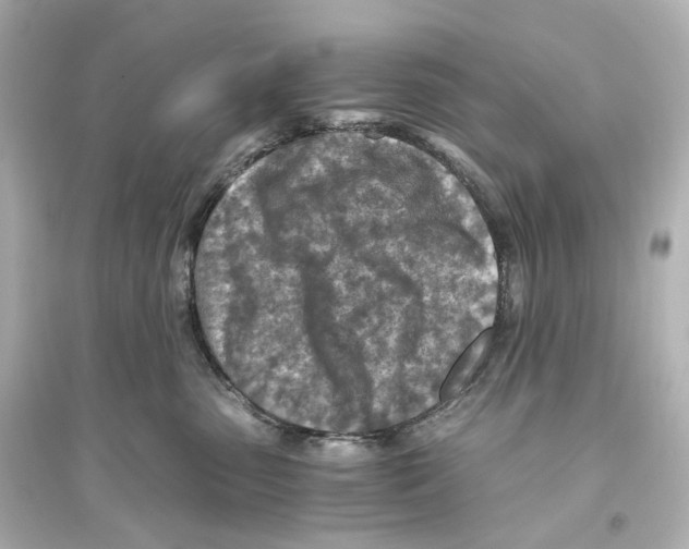 X0000093770475200711131216