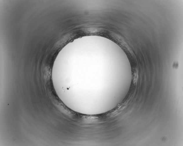 X0000093770476200711131216